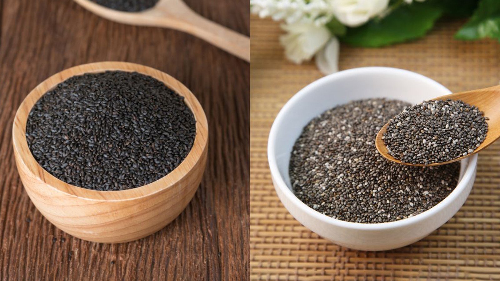 Chia Seeds Vs Sabja Seeds What’s The Difference